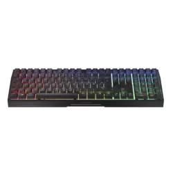 CHERRY MX 3.0S Wireless Gaming-Tastatur Schwarz