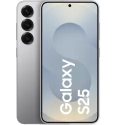 Samsung Galaxy S25 Silver Shadow